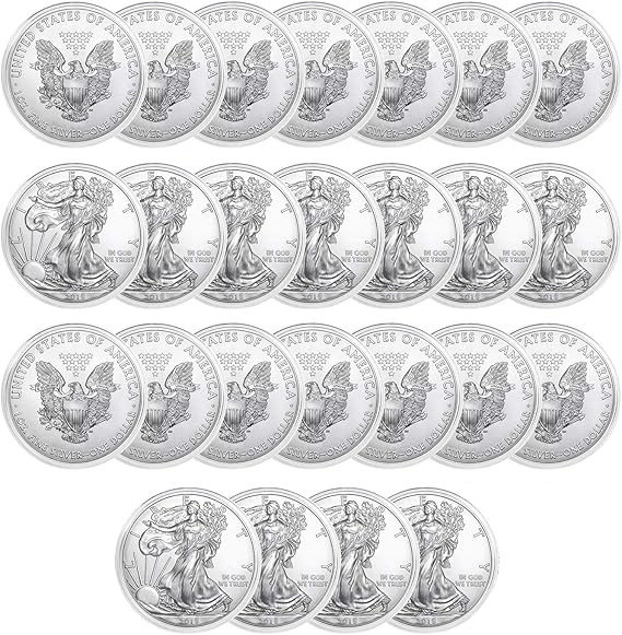 Houseables Silver Dollar Coin Holders, Coins Protectors, Eagle Capsules