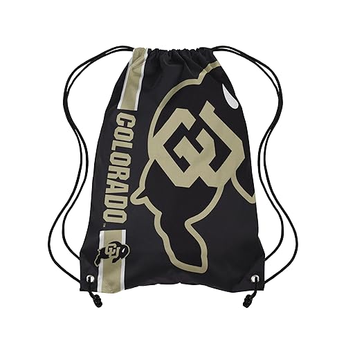 FOCO NCAA College Team Logo Drawstring Bag Backpack