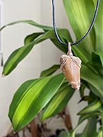 Vista 7 de Mosasaurus Diente Colgante en Alambre de Cobre Wrappng, Real Dinosaurio Mosasaurio Fossil Colgantes, Dino Jewelry, mosasaurio diente fósil