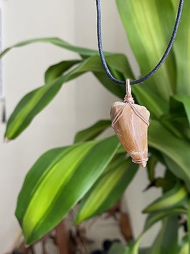 Miniatura 7 de Mosasaurus Diente Colgante en Alambre de Cobre Wrappng, Real Dinosaurio Mosasaurio Fossil Colgantes, Dino Jewelry, mosasaurio diente fósil