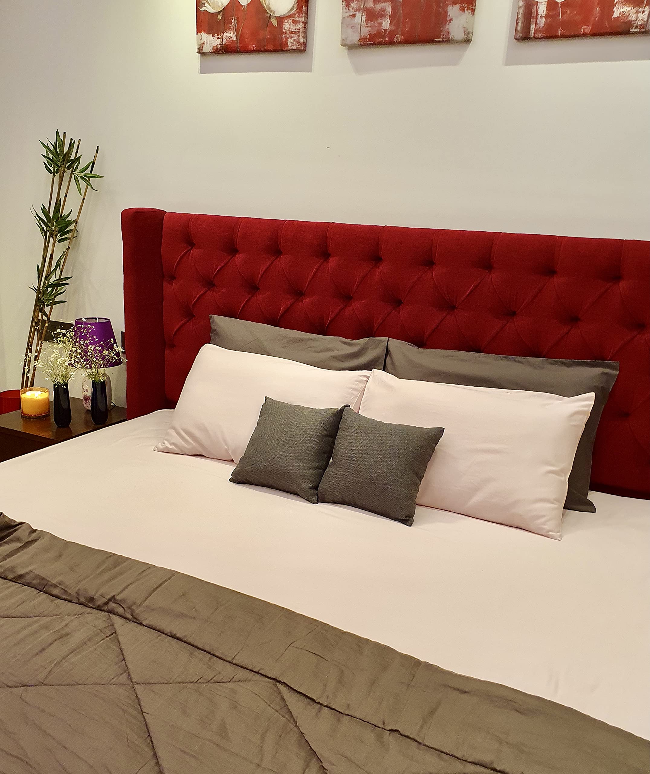 American Pillowcase Cotton 300 TC Fitted Bedsheet (Queen_Pink)