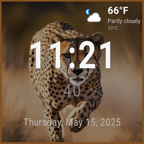 Animal TV Screensavers – Relaxing Animal Backgrounds with Time & Weather Display