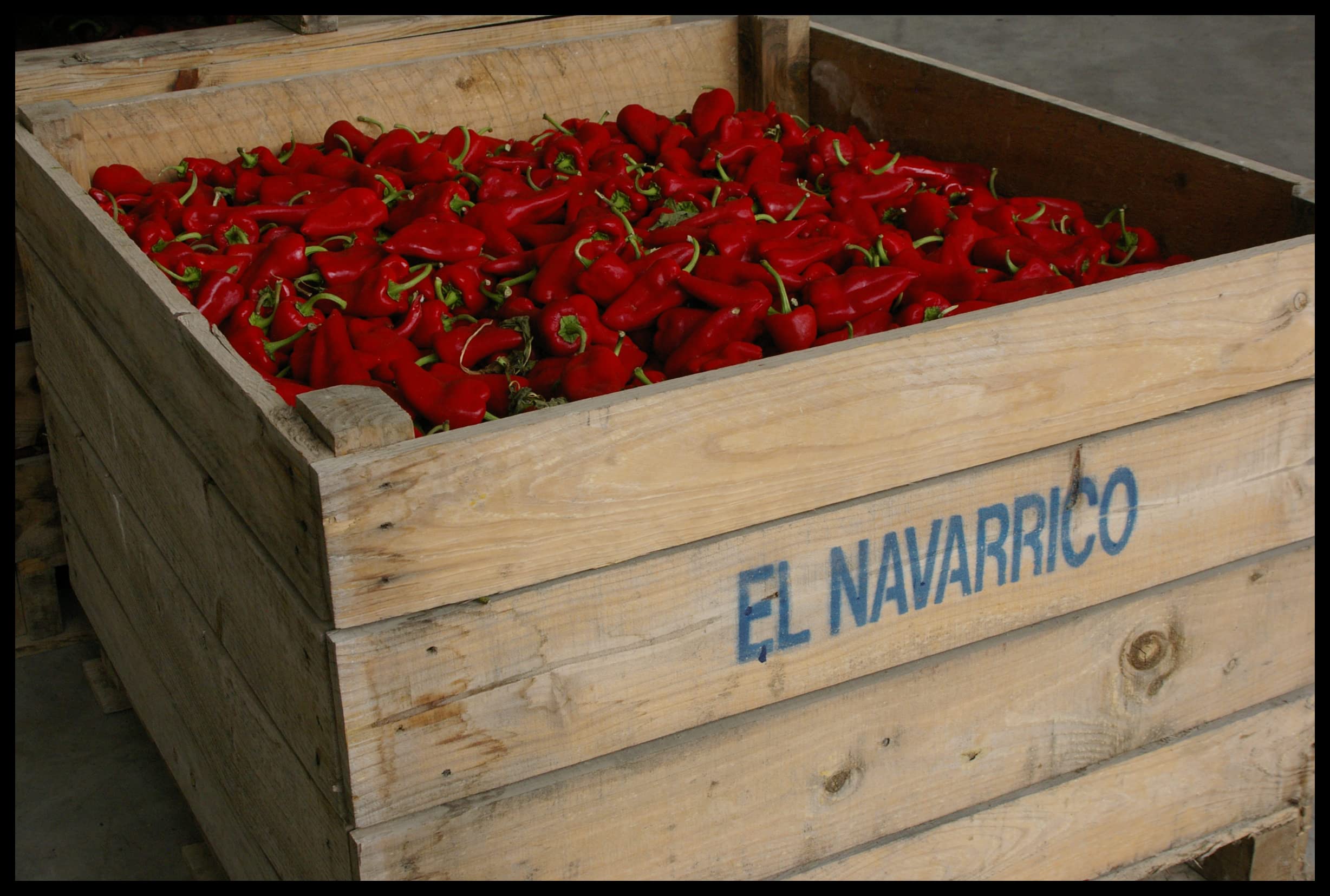 El Navarrico - Pimientos del Piquillo de la Denominación de Origen Lodosa | Agricultura Tradicional | Naturales y Frescos | Pack de 6 (220 gr - tarro)