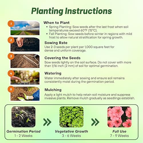 Miniatura 4 de Outsidepride 250 semillas anuales de flores de salmón Petunia Grandiflora para plantar