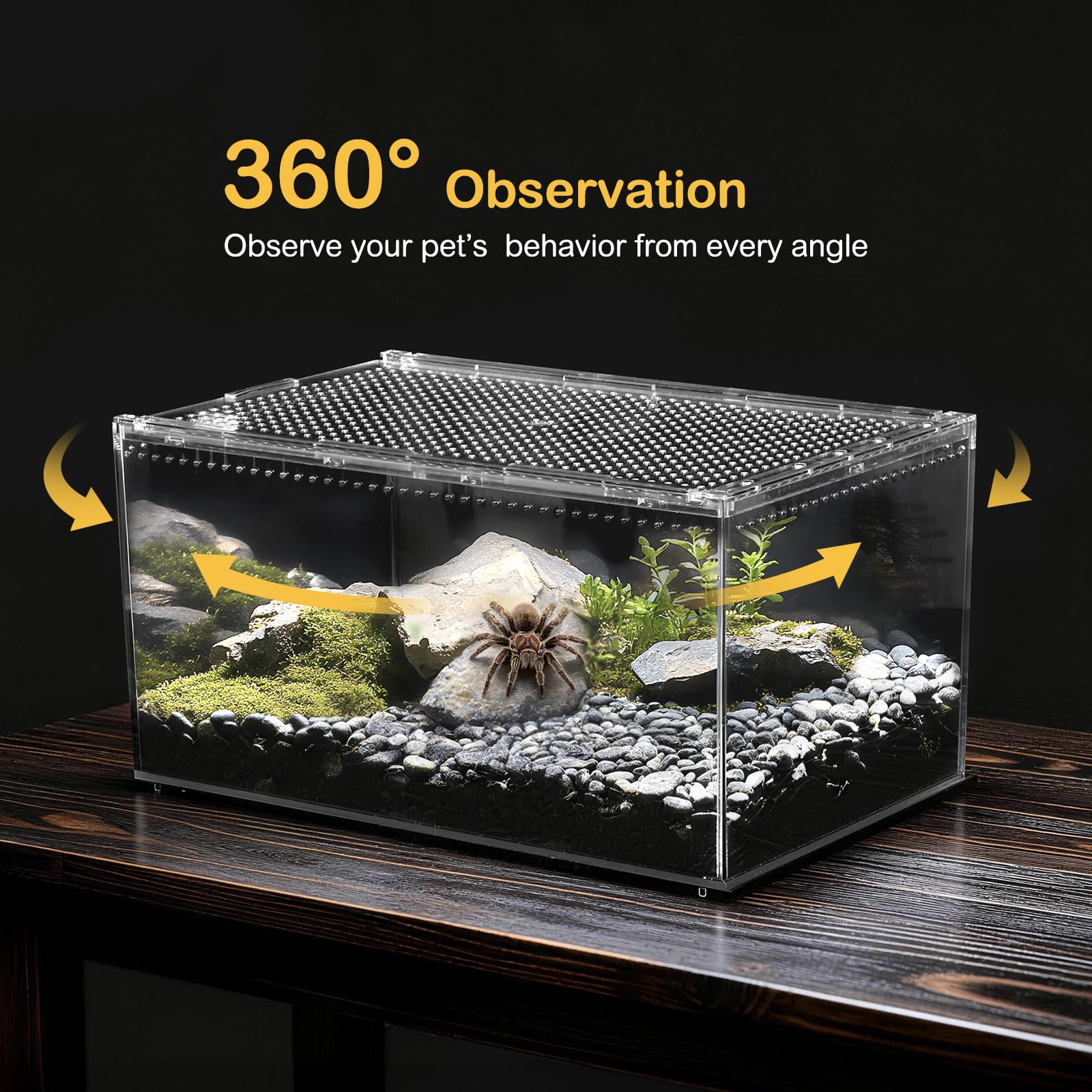 Escape-Proof Reptile Tank - Tarantula Enclosure -7 Escape-Proof Reptile Tank - Tarantula Enclosure -7