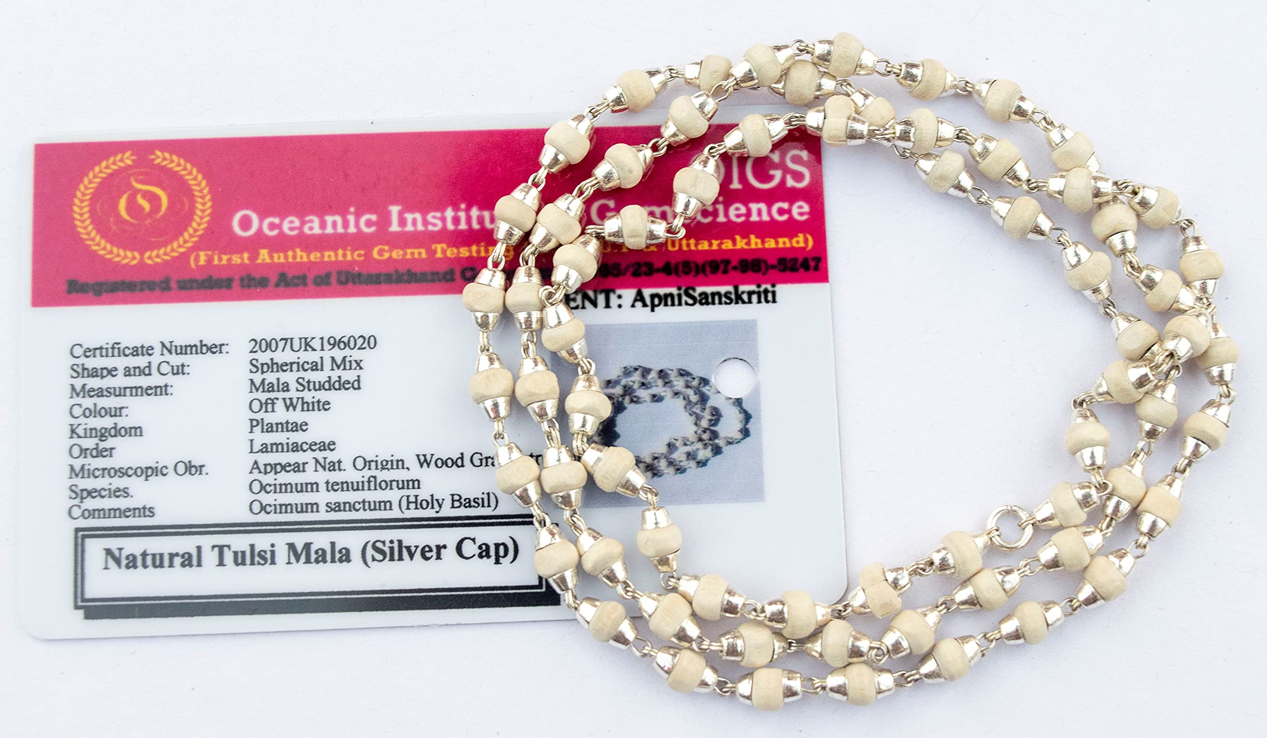 Apnisanskriti Lab Certified White Tulsi Mala in Silver Designer Caps | Natural White Tulsi Beads (3 mm, 55 Beads) Pure Silver, Pack of 1 (B07ZQ7YVQN) Amazon Price History, Amazon Price Tracker