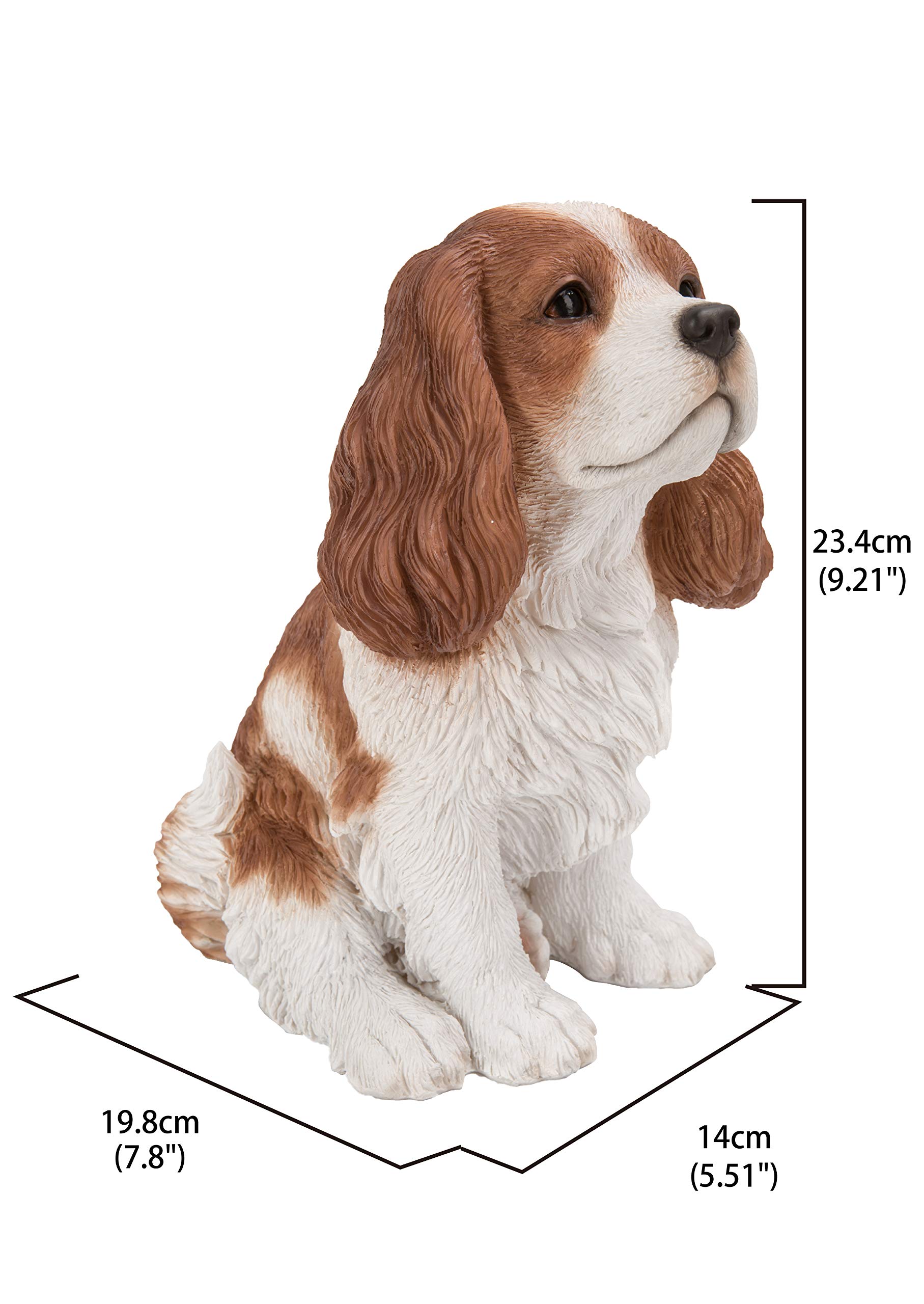 Amazon.com : Tocca Hi-Line Gift Ltd Brown/White King Charles