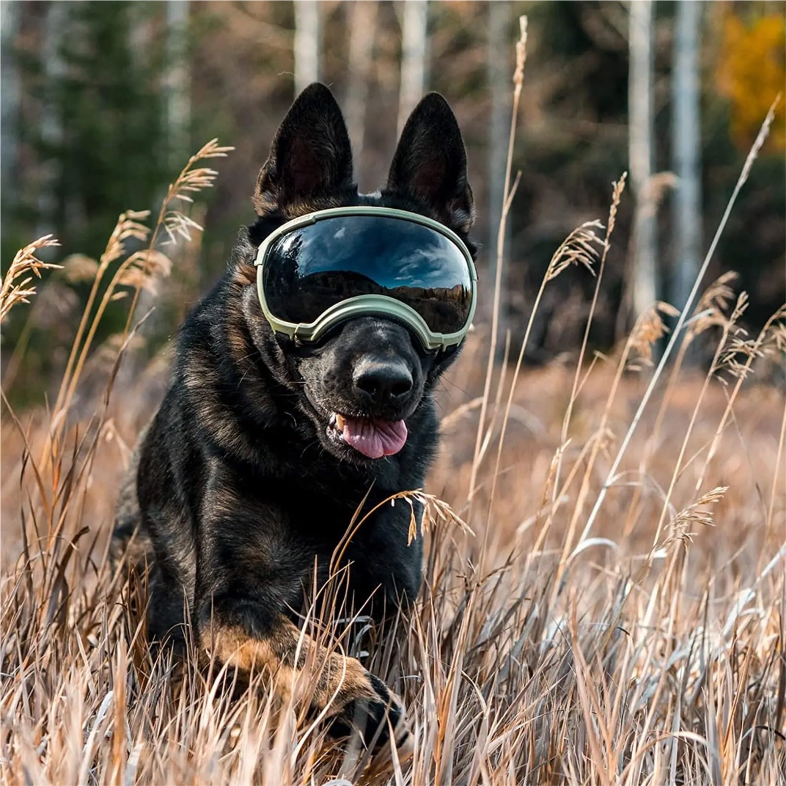 Hundebrille,Hundebrille FüR Kleine Hunde Hundebrille, Anti-UV, Starke Schlagfestigkeit, verstellbare, elastische, atmungsaktive Haustier-Sonnenbrille(Blue and Silver,S)