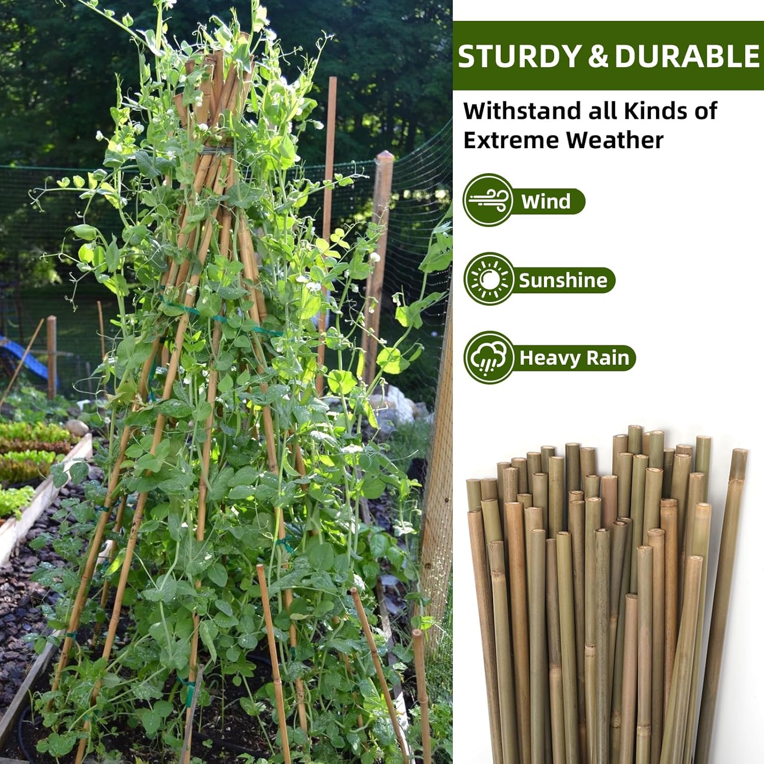 Bamboo Stakes,4Ft,65Pack,Bamboo Garden Stakes,for Tomato,Beans,Vegetable and Flowers, Potted Plants,Indoor and Outdoor Climbing Plants