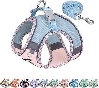 AIITLE Kleines Hundegeschirr, Katzengeschirr mit Leine, einstellbares Hundegeschirr mit Schnellverschluss, reflektierende Weste für extra kleine Hunde und Hauskatzen Blau Rosa XXS