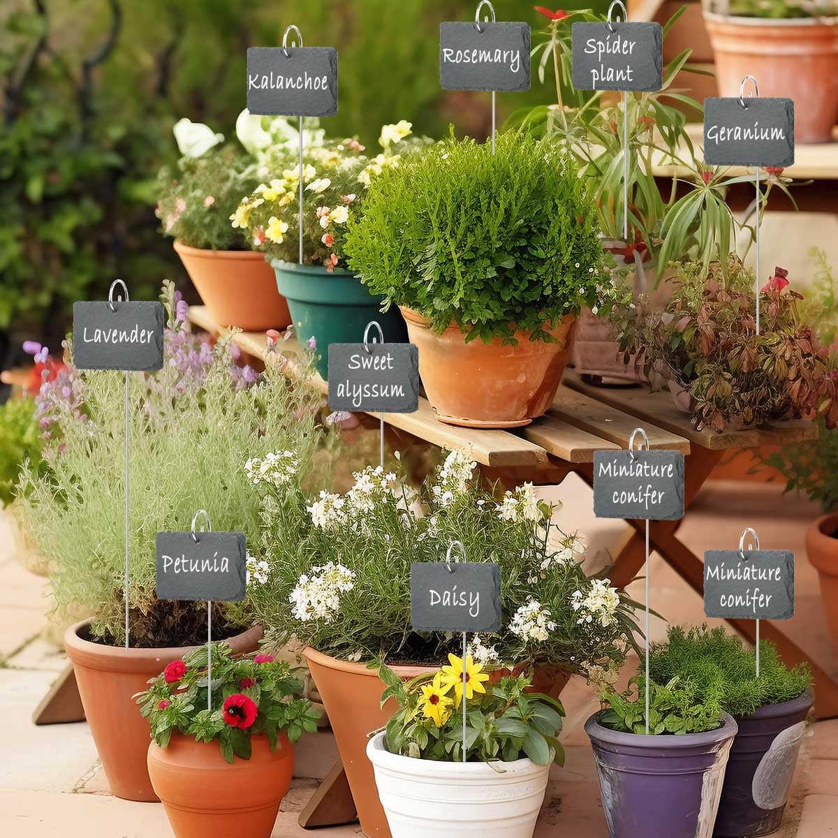 10PCS Étiquettes pour Plantes Potager, Étiquettes Plantes en ardoise,Marqueurs de Plantes de Jardin,10 x 7cm Jardin Balcon Plantes Légumes, Réutilisable, Résistant aux Intempéries