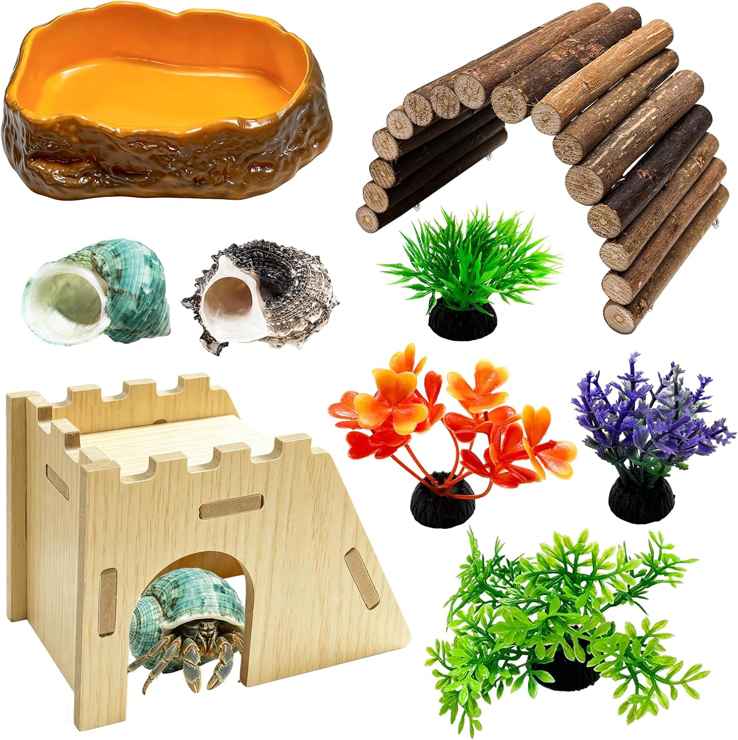 Hermit Crab Accessories, Adjustable Hermit Crab Climbing Toys, Wooden Hideaway, Natural Sea Conch, Pool Decorative Accessories, Plants in Amphibian Supplies.