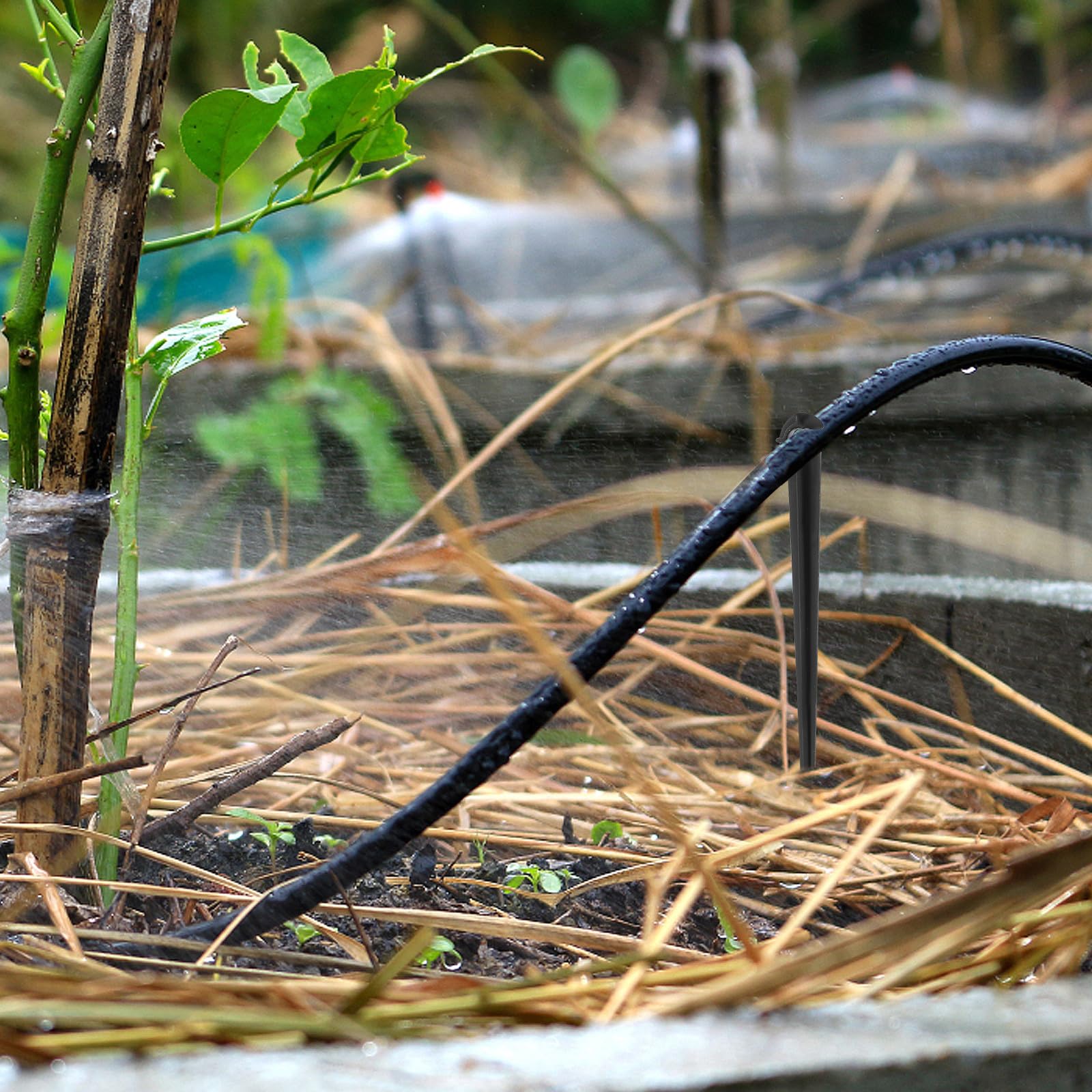 Kisangel Kit D'irrigation Goutte à Goutte en PP et Acier Inoxydable pour Pelouse et Plantes Buses Brumisation et Goutteurs, Système D'arrosage Automatique pour Jardin Extérieur