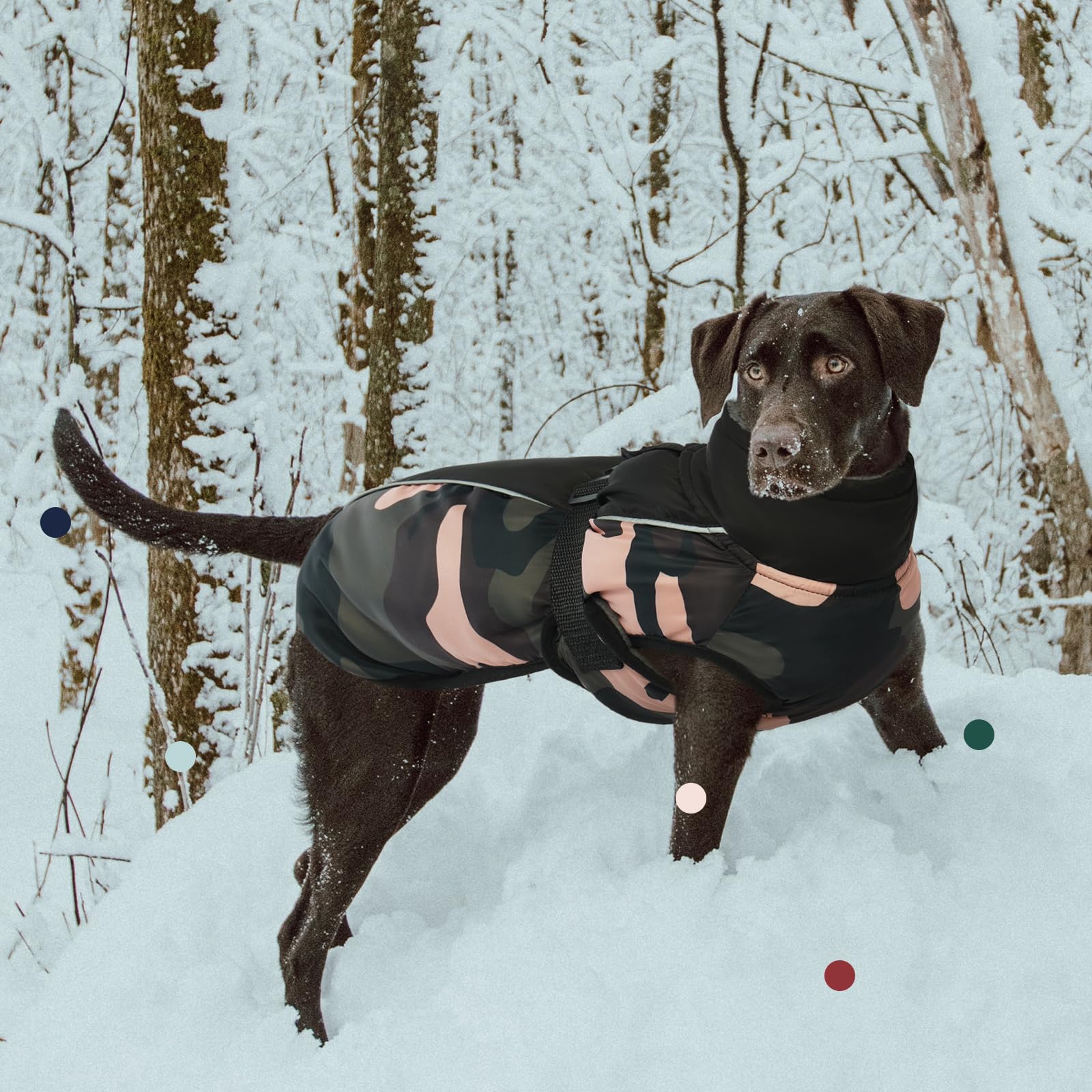 IECOii Abrigo extra cálido para perro, reflectante, ajustable, abrigo de invierno para perro con hebilla, chaqueta de forro polar con cuello alto para clima frío, abrigo de invierno suave para perros