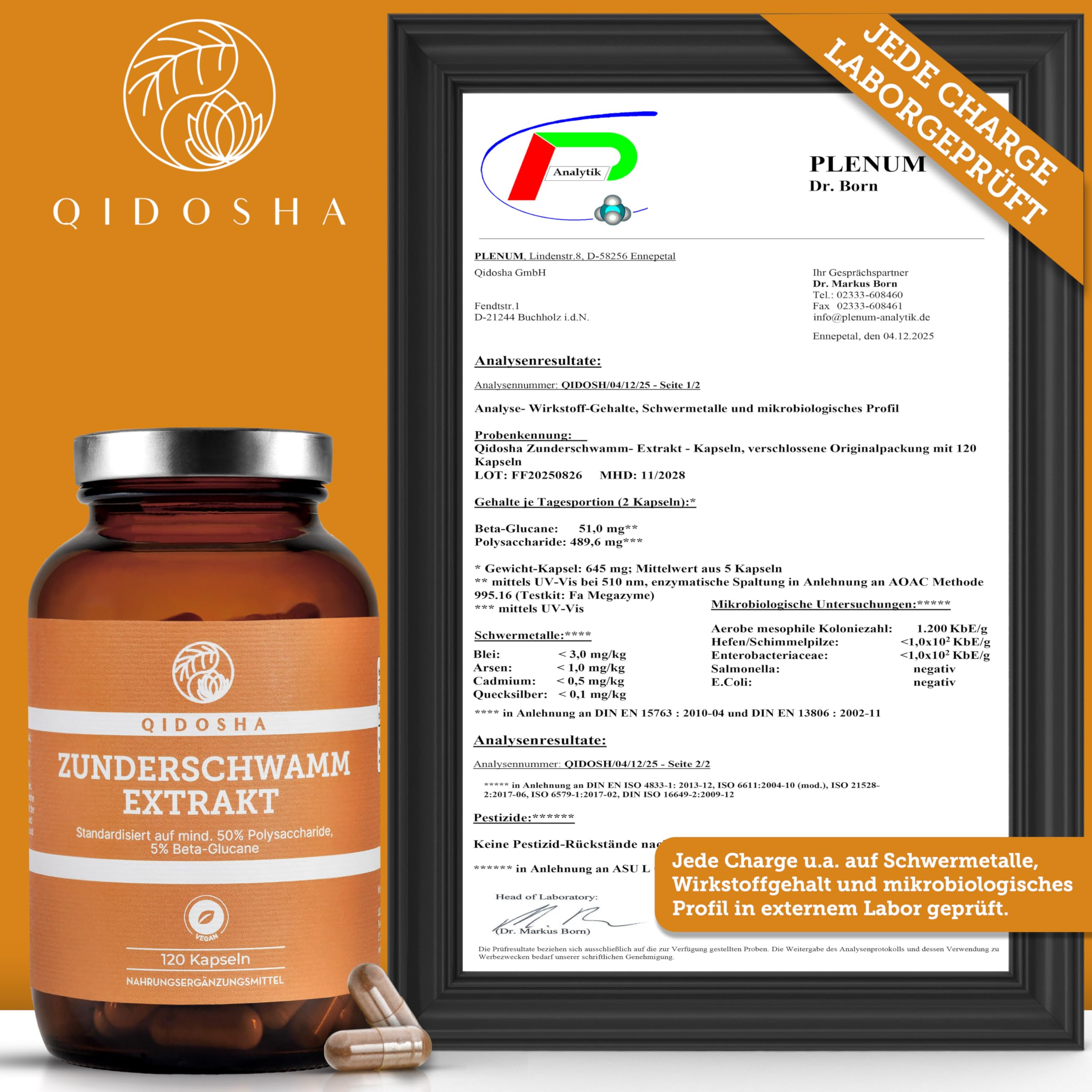 QIDOSHA® Zunderschwamm Extrakt Kapseln, 120 Stk im Apothekerglas, hochreiner Fomes fomentarius Extrakt mit 500mg je Kapsel, davon 50% Pilz-Polysaccharide mit mindestens 5% Beta-Glucanen, dt Fertigung