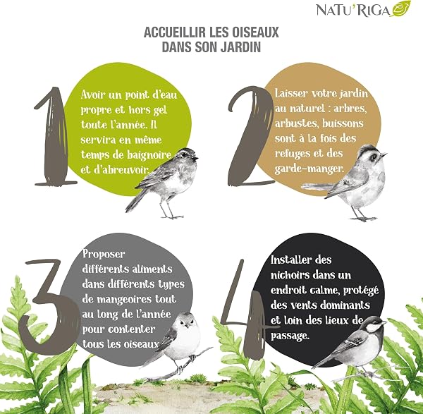 Riga - NATU'RIGA - Mélange Tourterelles - Mélange De Céréales Et Légumes - Nourriture Oiseaux Extérieur - Recette Énergétique - Toute Saison - 2KG - 4