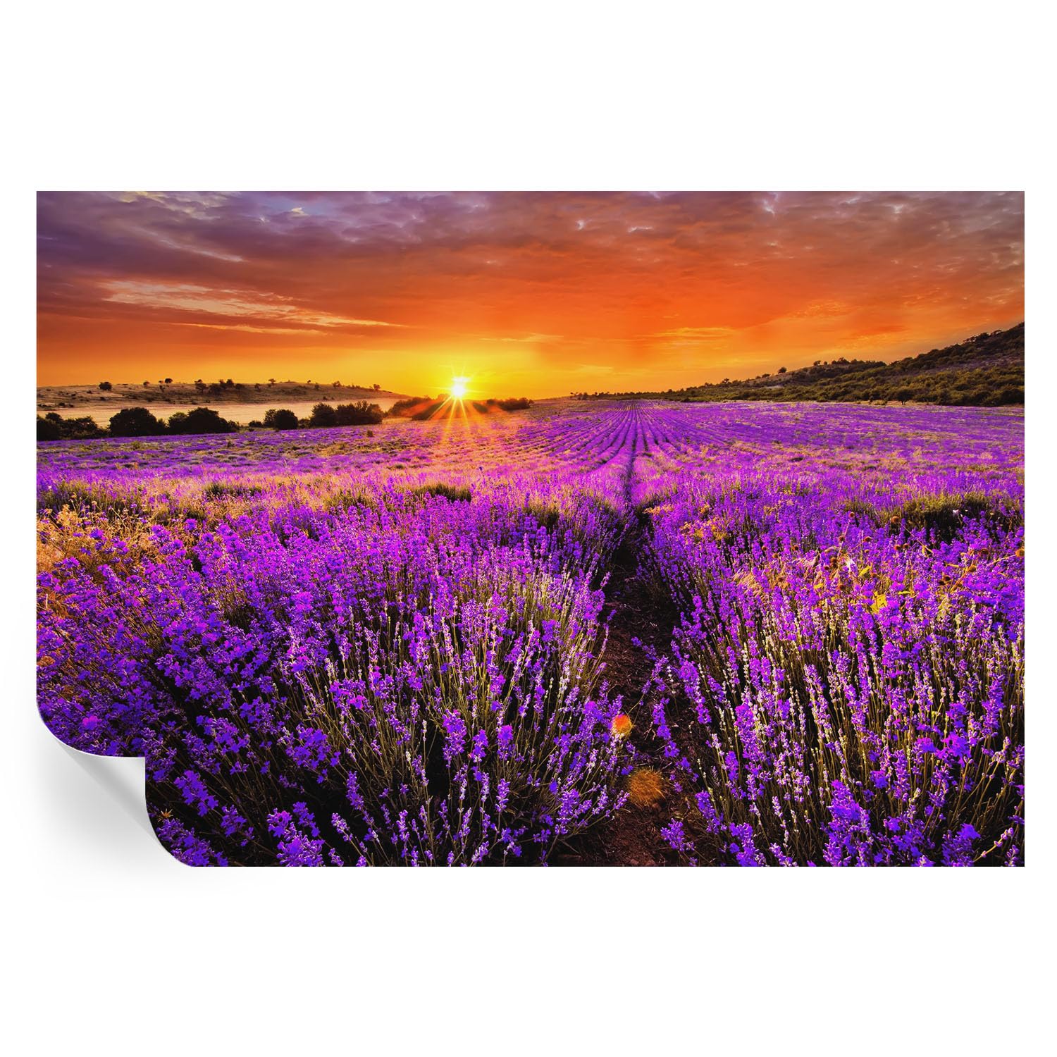 Atardecer lavanda en vinilos decorativos de 152x104 cm para habitaciones sin luz