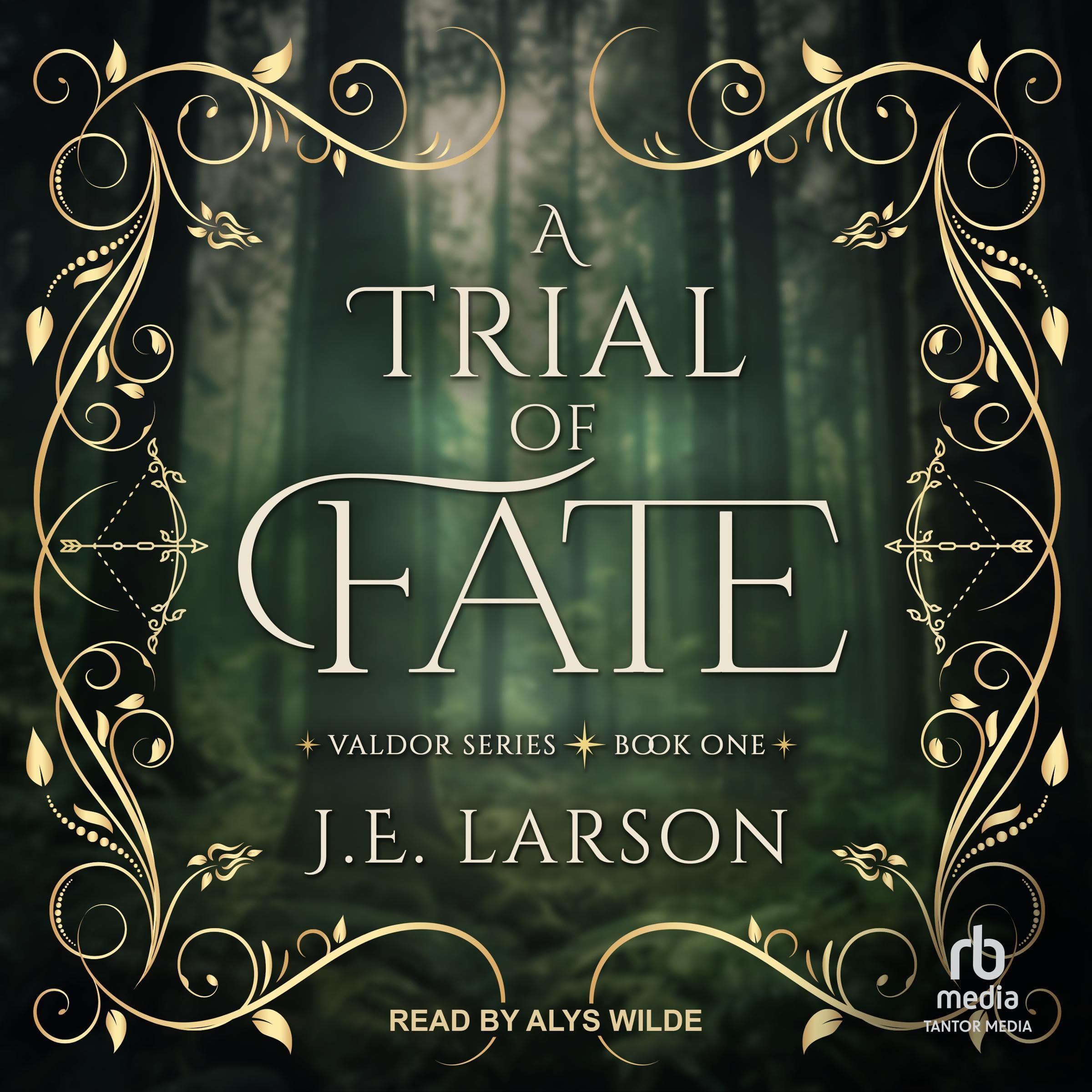 Cover art for A Trial of Fate