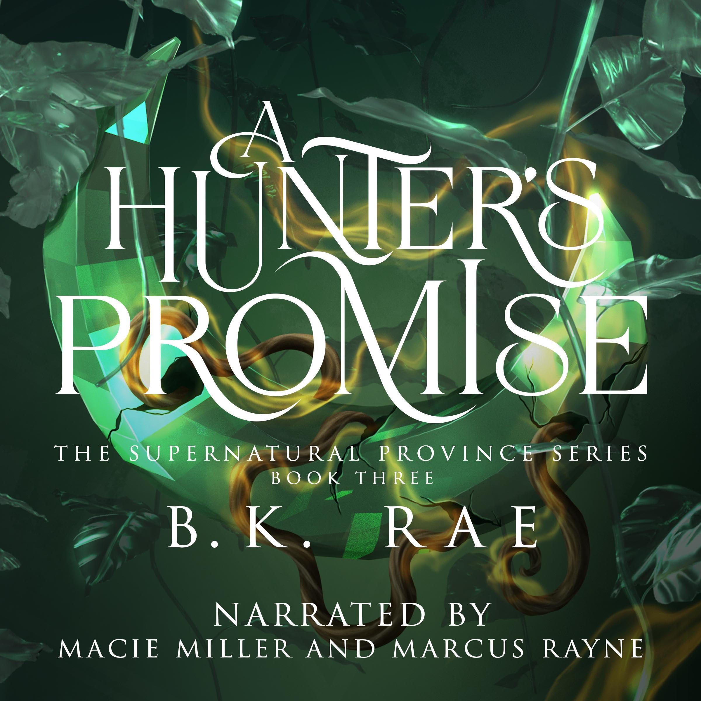 Cover art for A Hunter's Promise