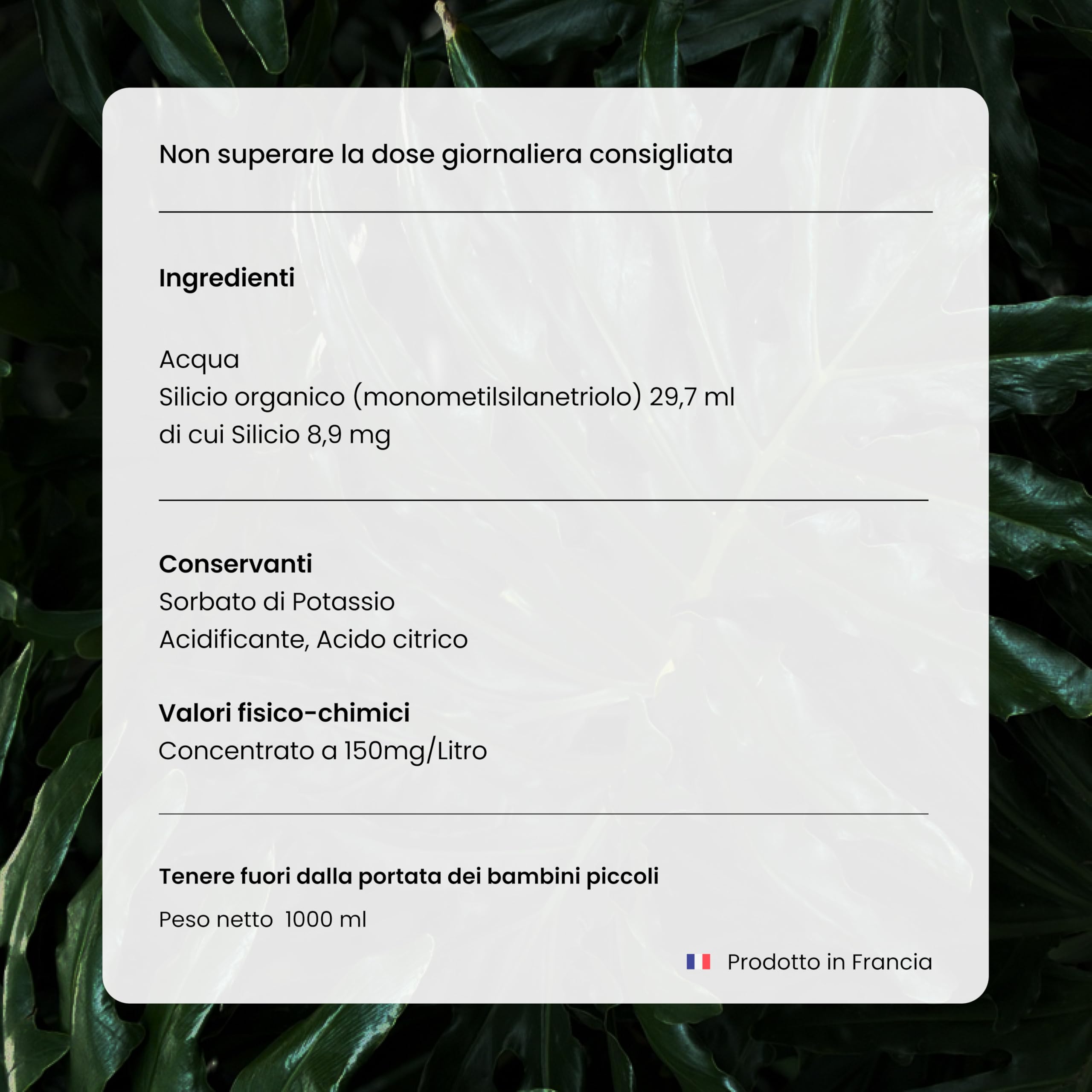 SFB Laboratoires – Silicio Organico Formula G5 Liquido 1L Alta Qualità e Assorbimento, Integratore Alimentare Naturale per Articolazioni, Pelle, Capelli, Unghie – Fonte Vegetale – Silice