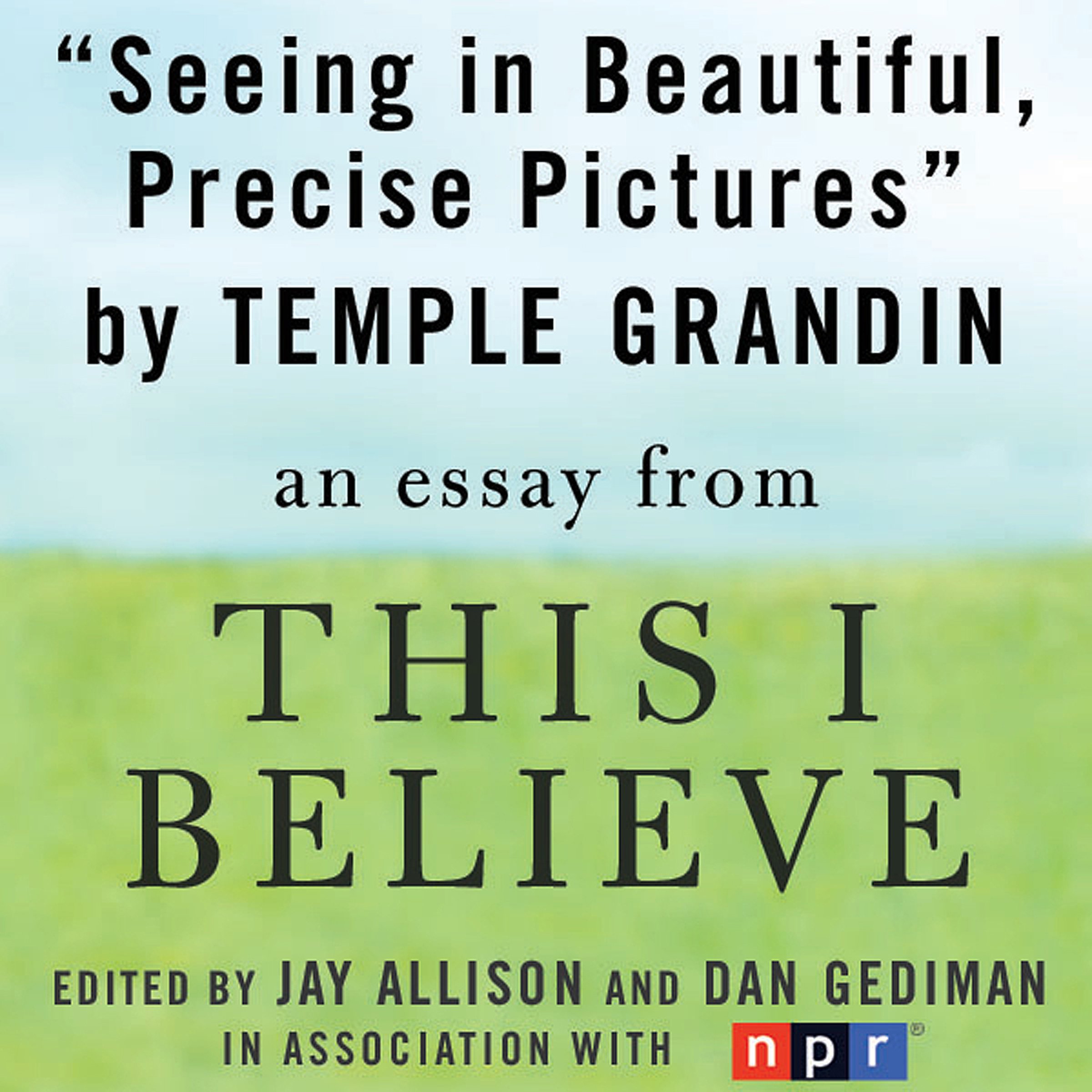 Cover art for Seeing in Beautiful, Precise Pictures