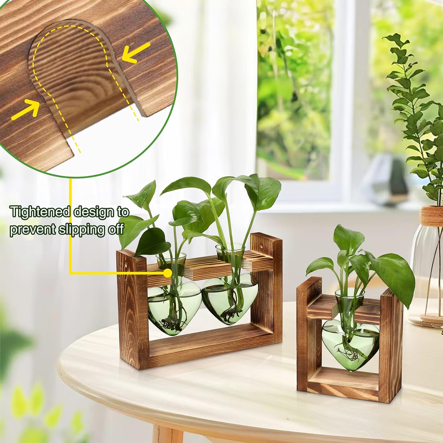 2+1 Plant Terrarium Plant Propagation Station Birthday Gifts for Women Home Office Decor with Wooden Stand
