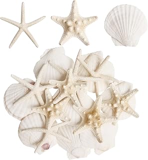 HAPYSHOOP 16pc Natural Starfish & Scallop Shells 2.6-3.8in for Crafts, Beach Wedding Decor, Fishtank, Christmas Ornaments