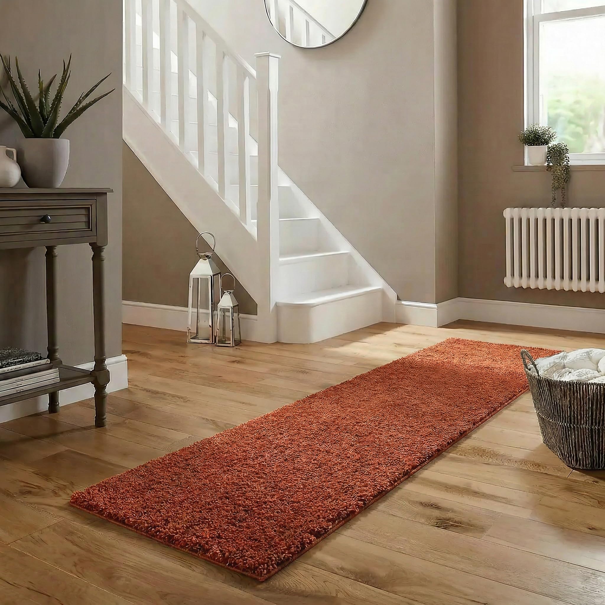 Abaseen Small Large Shaggy Rug Modern Rugs Living Room Extra Large Small Medium Rectangular Size Soft Touch Thick Pile Living Room Area Rugs Non Shedding (Terracotta, 60x220 cm)