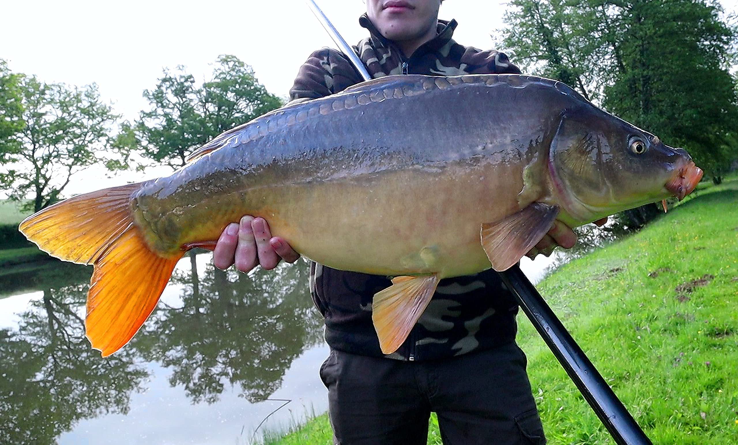 Chinese Carbon Telescopic Fishing Rod - Special Carp - 7.2 m