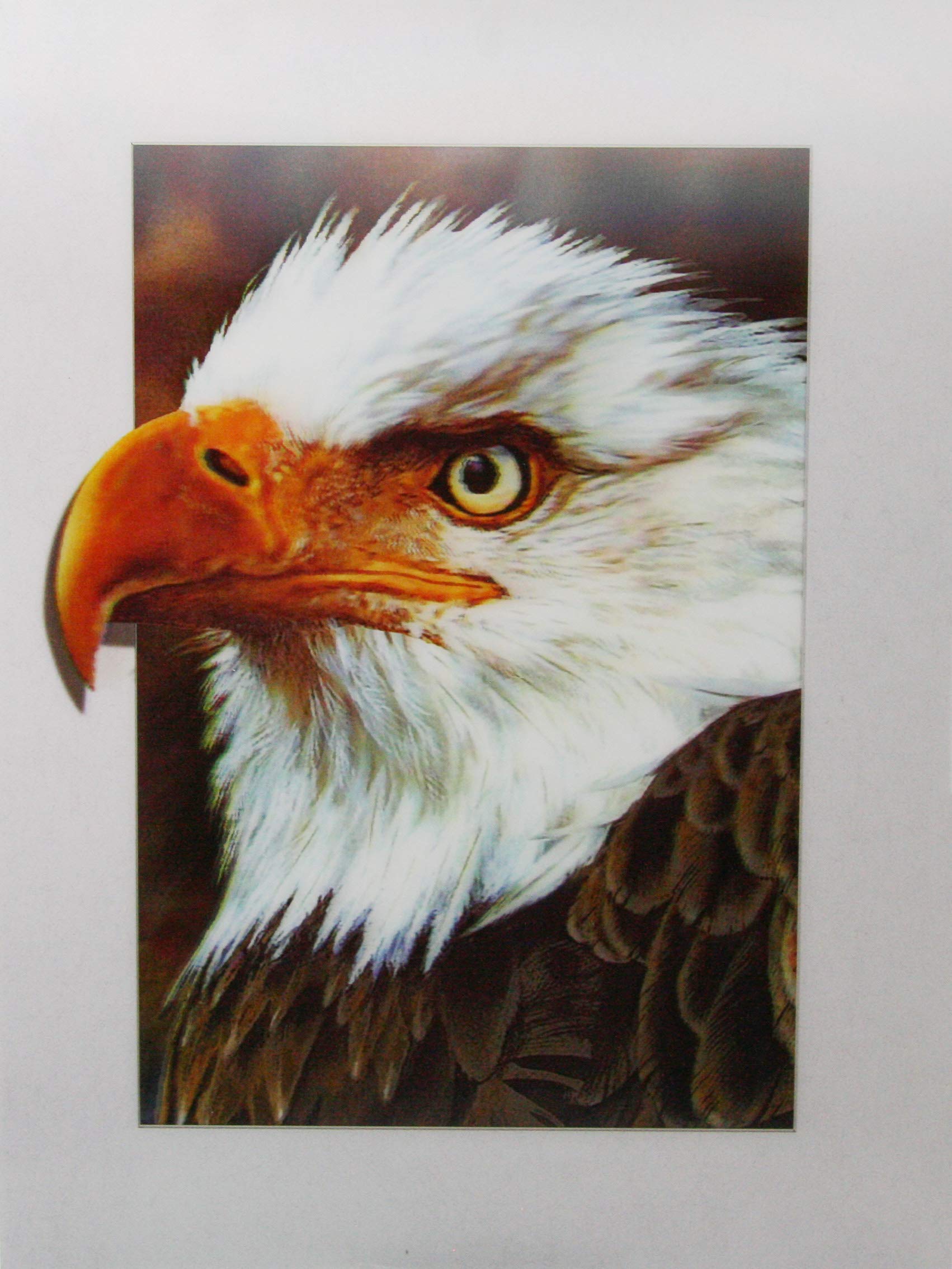 3Dstereo Bald Eagle - 3D Lenticular Poster -12x16 Print