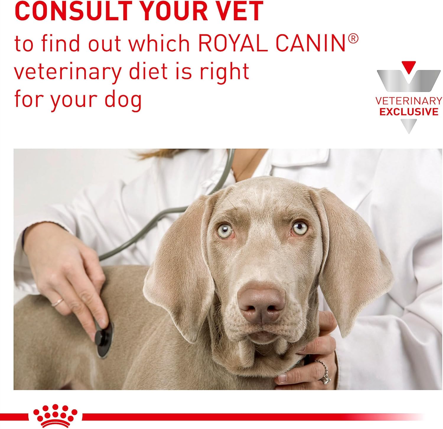 Royal Canin Veterinary Diet Canine Gastrointestinal High Energy Dry Dog Food, 22 lb - Image 11