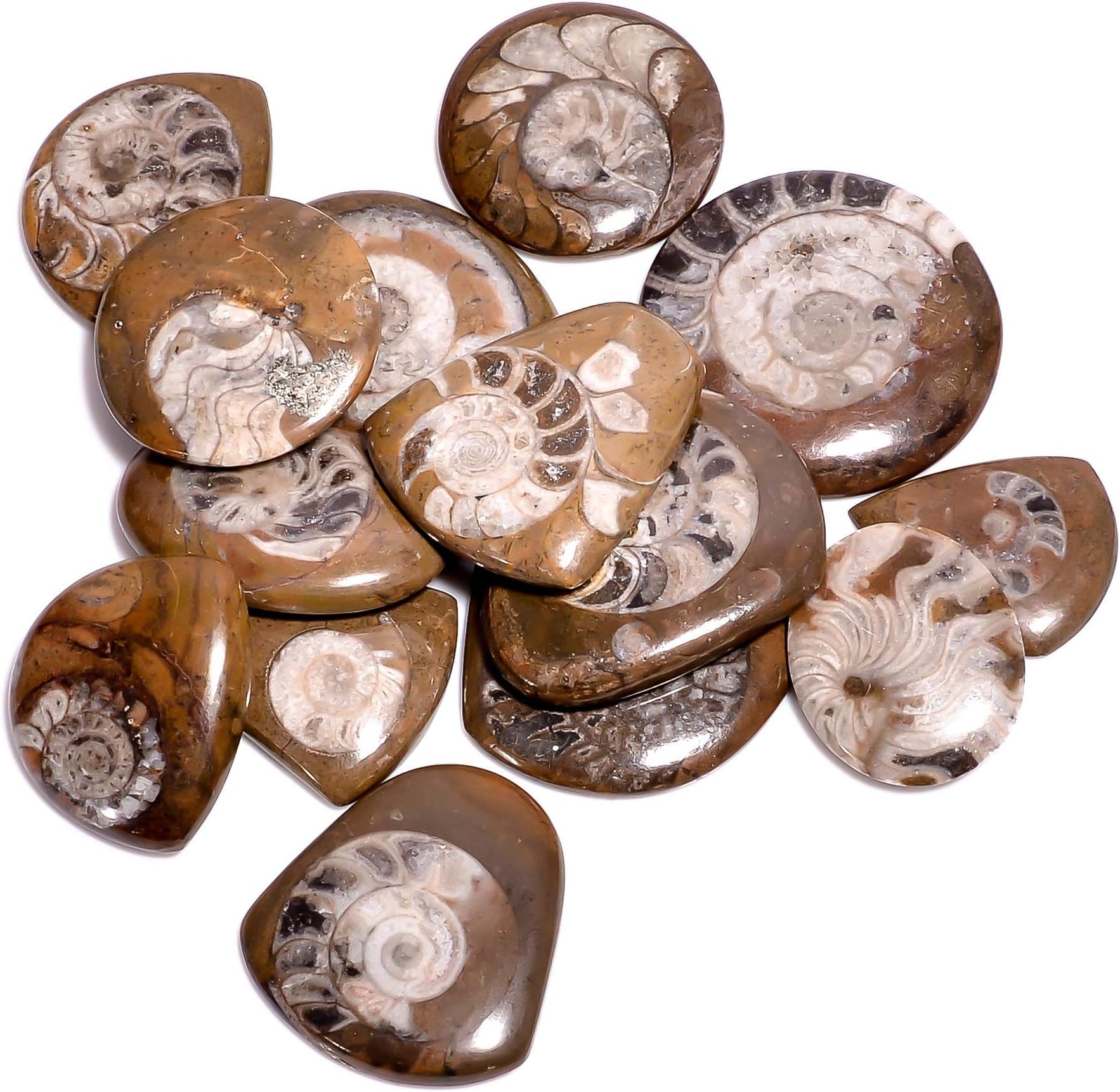 GEMKORA™ 3pcs Natural Ammonite Brown Gemstone Cabochon for Jewelry Making, Loose Gemstone Wholesale Lot, DIY, Wire Wrapping, Healing Crystals, Bulk Crystals Deal