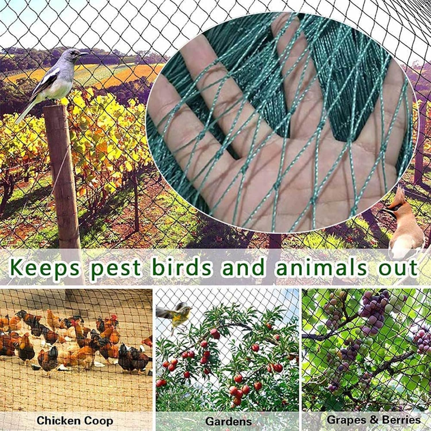 6x10m Bird Netting for Strawberry Plants Fruit Trees & Climbing Plants - Heavy-Duty Garden Trellis Protection for Fruits & Ponds Durable & Weather-Resistant