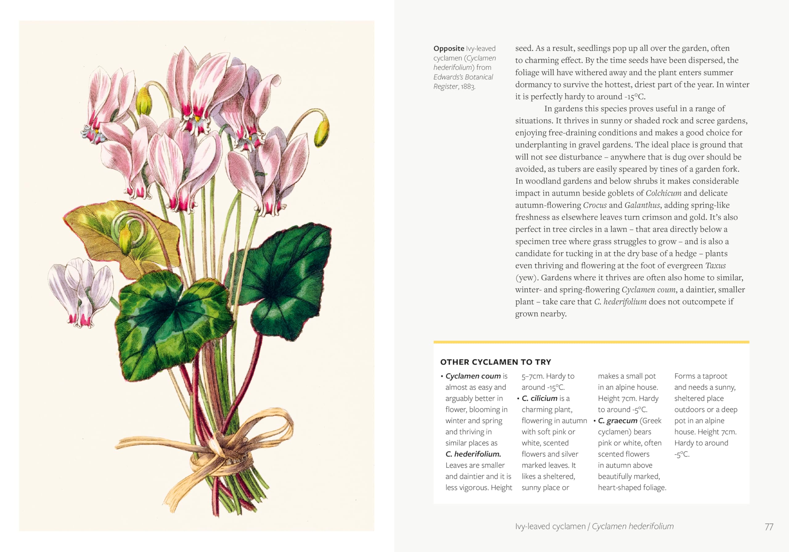 Kew - Parched: 50 Plants That Thrive and Survive in a Dry Garden