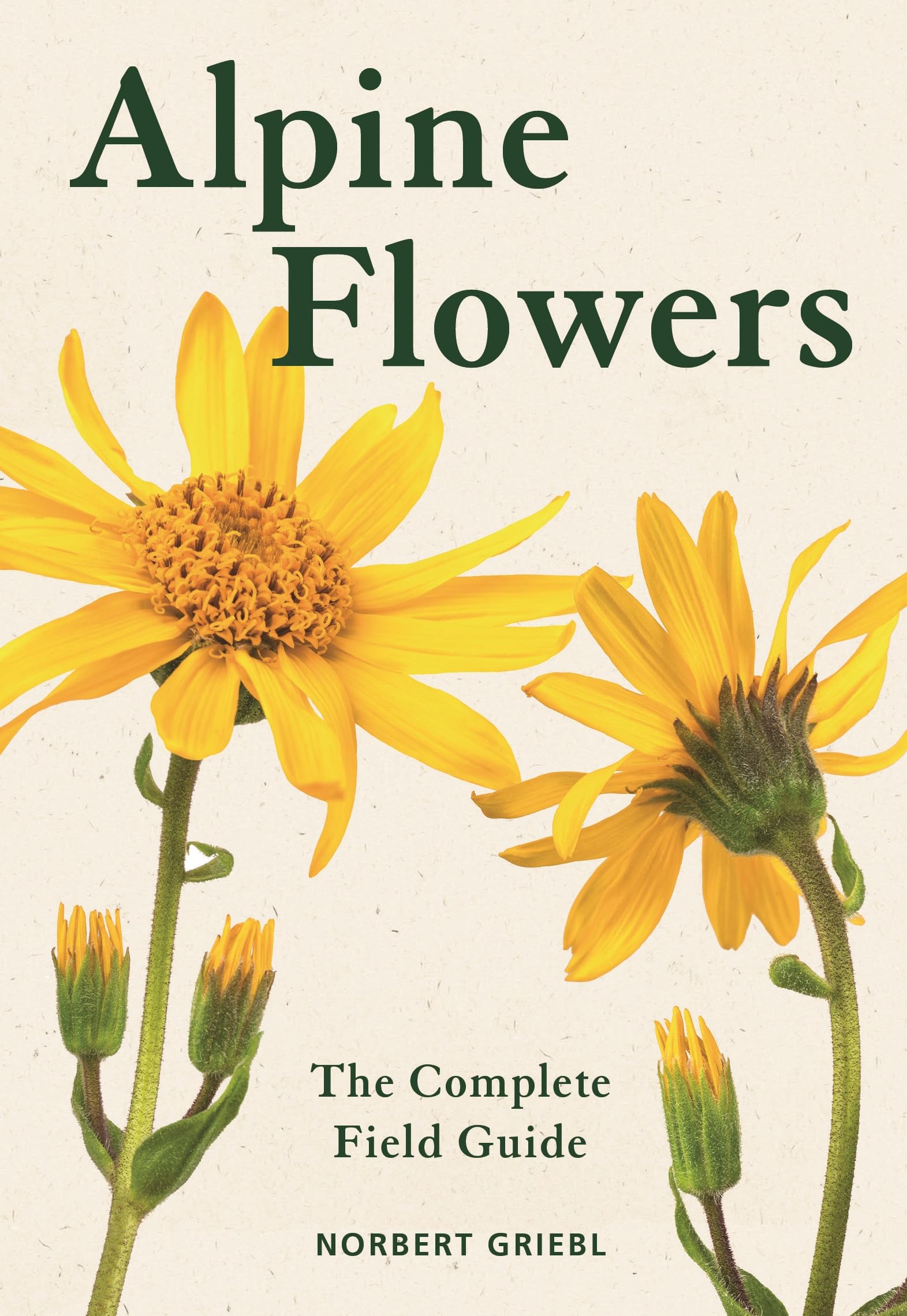 Alpine Flowers by Norbert Griebl - 9781399419888