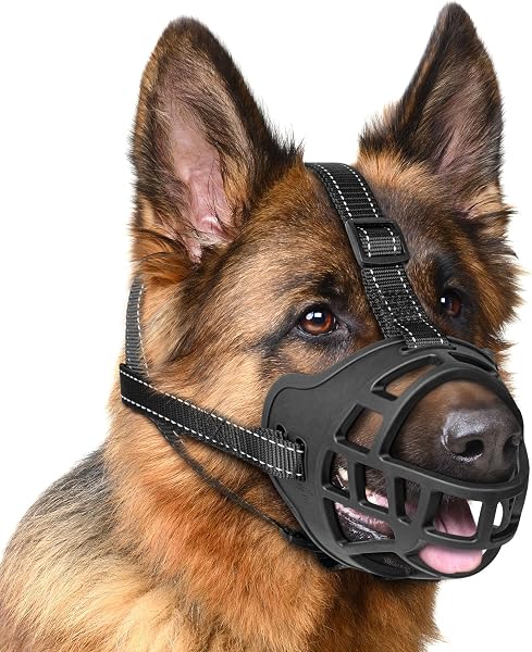 EcoEarth Durable Basket Muzzle för Medelstora Hundar