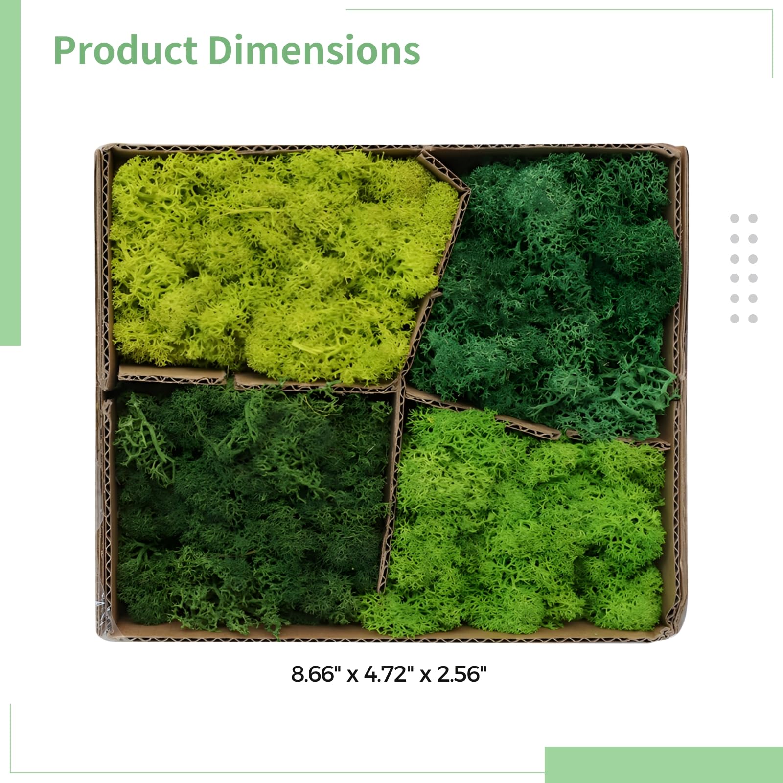 Generisch 1 Box konserviertes Moos, künstliche grüne Moosdeko in Vier Farbtönen, PE-Material, DIY-Bastelbedarf, Wanddeko für Zuhause, Terrarium, Modelllandschaft, für kreative Gestaltung