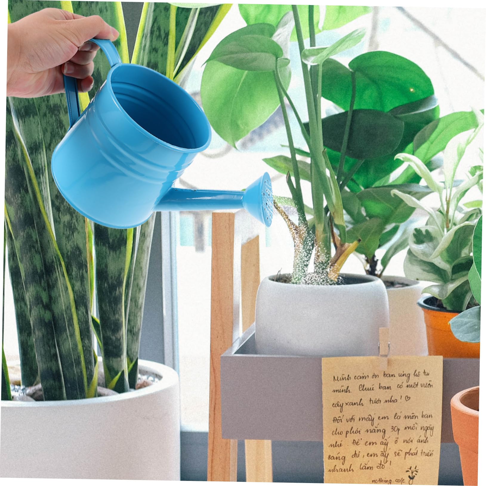 POPETPOP 3pezzi Annaffiatoio Beccuccio Spray Per Giardinaggio Indoor e Outdoor Capacità Design e Multifunzionale Per e
