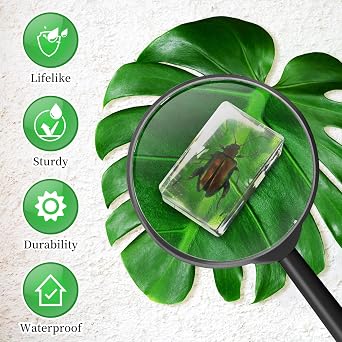 GlikCeil 50 Pcs Insect in Resin Specimen Various Bugs Collection Paperweights Bug Kit Preserved in Resin with 3 Magnifier Marine Animal Specimens for Kids Scientific Educational Display Collection
