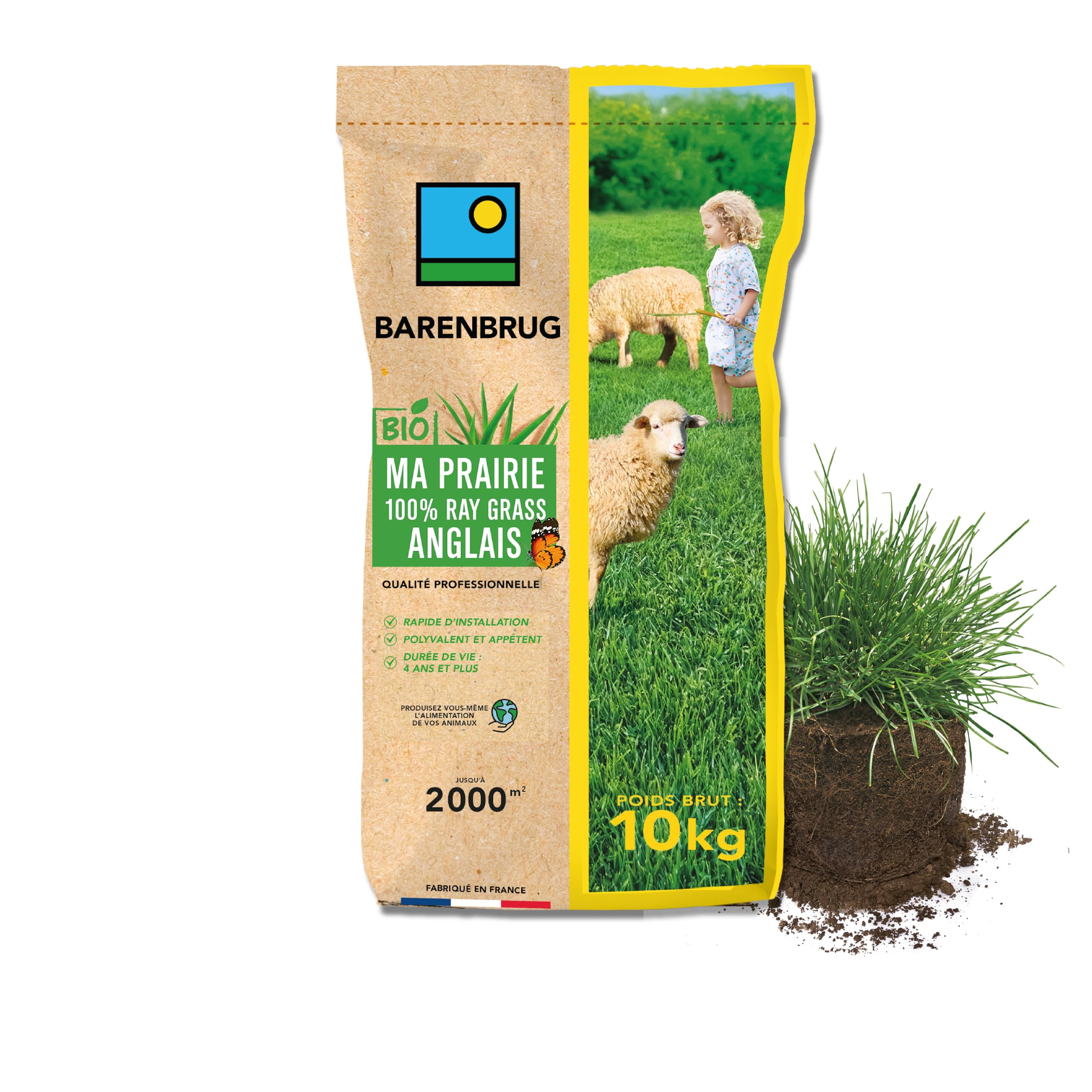 BARENBRUG - Pradera 100 % Raigrás Inglés BIO - Instalación Rápida - Polivalente y Apetente - Muy Buena Durabilidad 4 años o más - Fabricado en Francia - 10 Kg