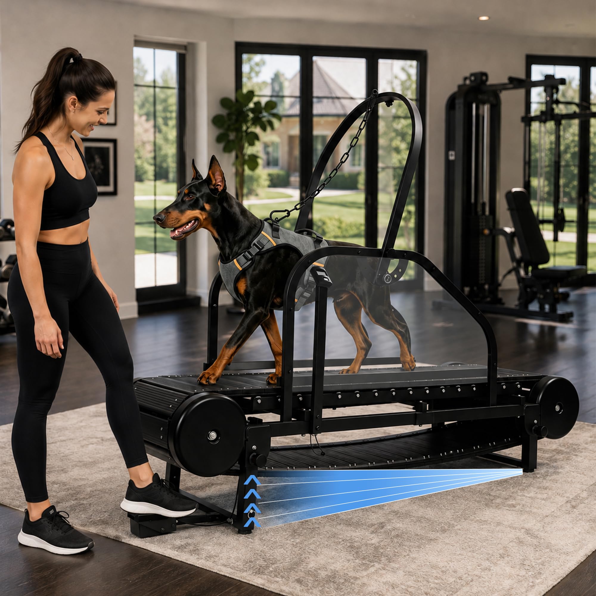 Dog Treadmill, Self-Powered Dog Slatmill for Medium and Large Dogs