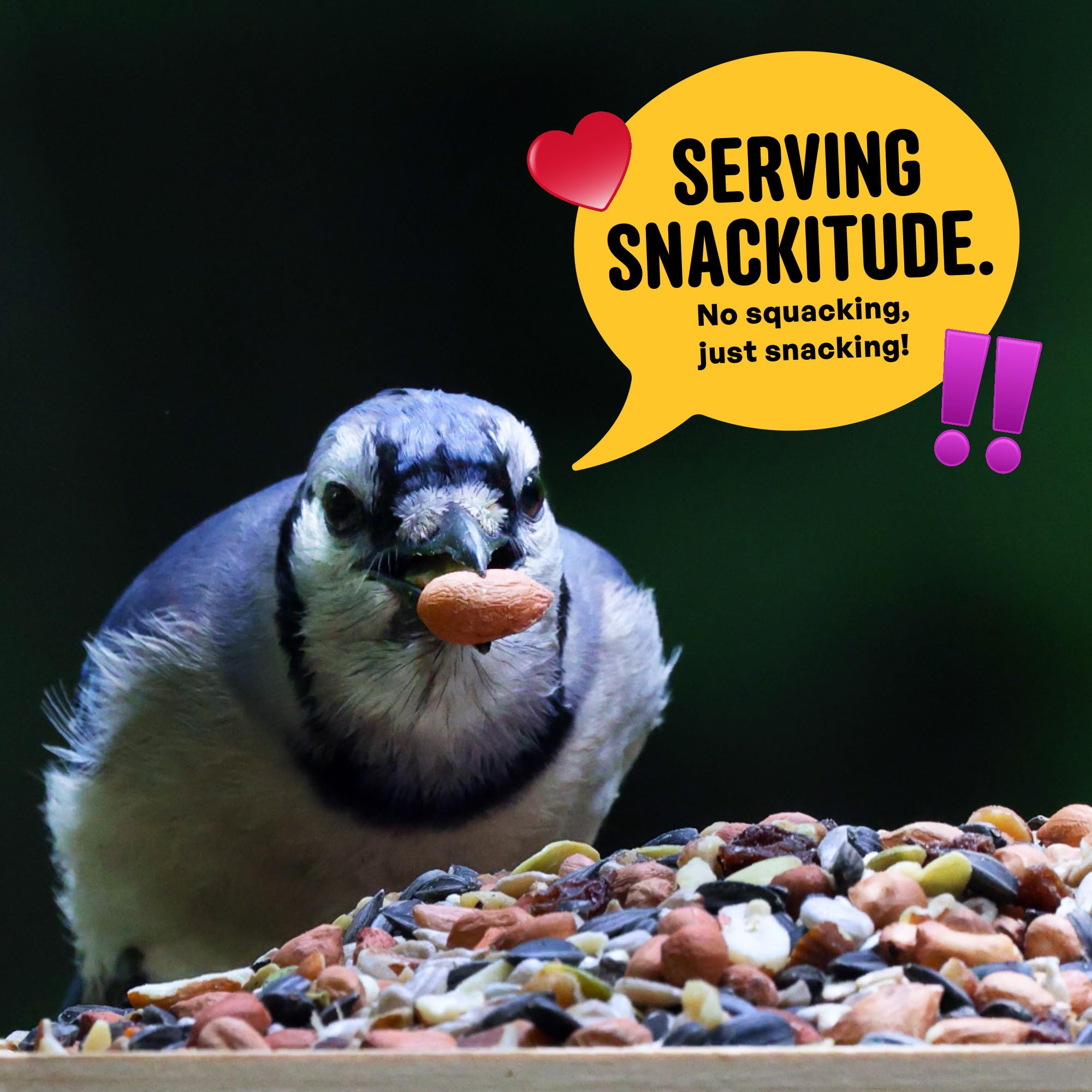 Cool Birds Nut & Fruit - Semi per uccelli selvatici, 4,5 kg, cibo per uccelli gourmet con cuori di girasole, arachidi, noci e frutta vera, senza mais, milo o miglio, per mangiatoie esterne