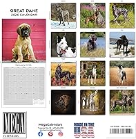 Vista 1222 de Razas de Perros 2017