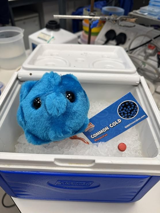 GIANTmicrobes Common Cold Plush, Pediatrician Gifts, School Nurse Gifts, Cold Care Package, Present for Sick Friend, Funny Doctor Gift, Biology Gift