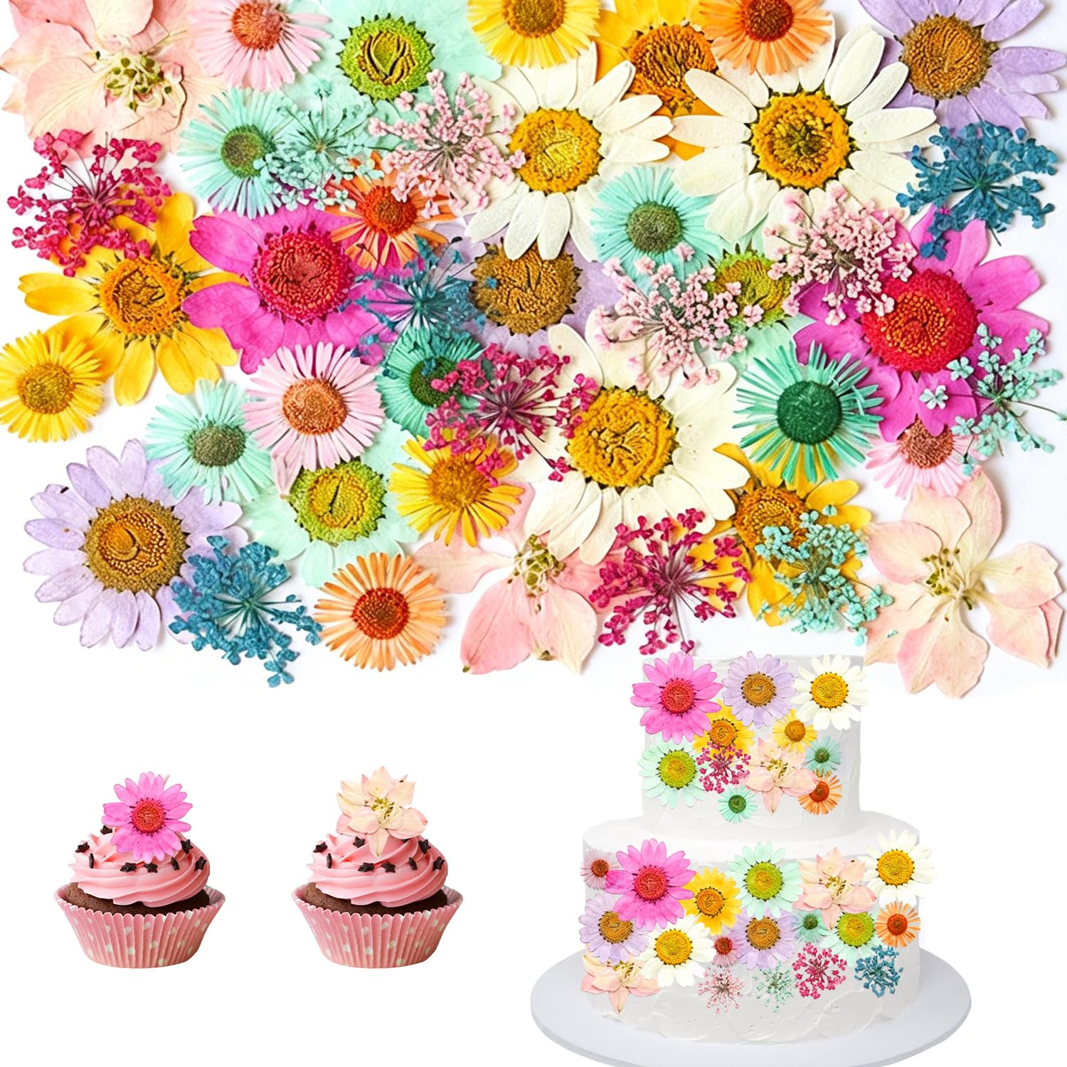 CENCERY 43 Pcs Dried Flowers Cake Decor Flowers Pressed Blossoms Dried Flowers for Crafts for Cakes Cupcakes Desserts (Colorful Mix) — image 1