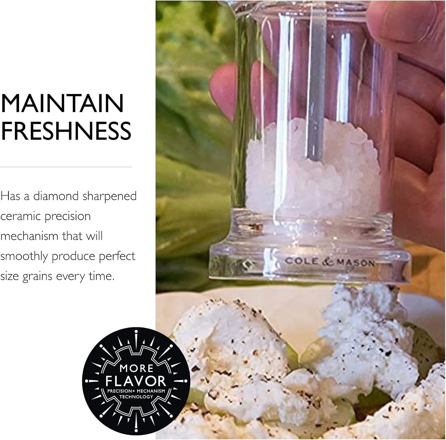 COLE & MASON 505 Salt Grinder - Clear Acrylic Mill Includes Precision Mechanism and Premium Sea Salt