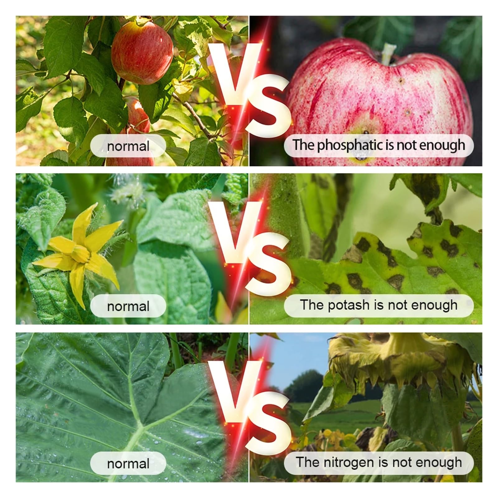 Miernik gleby, Tester NPK gleby LCD Podświetlenie detektora gleby 4 w 1 Nawóz glebowy Miernik składników odżywczych Analizator temperatury NPK do szklarni Great Garden, Wykorzystanie trawnika