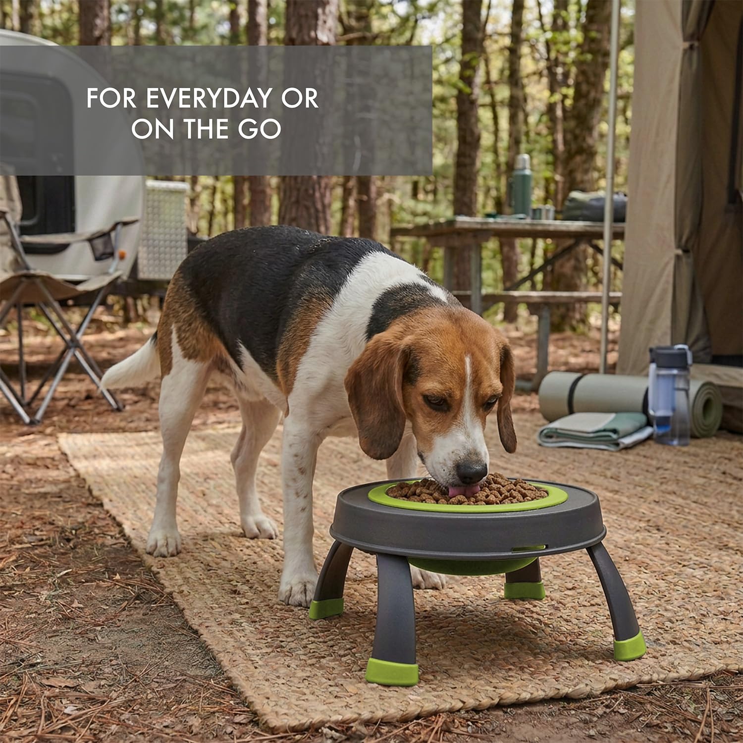 Dexas Popware for Pets Futterspender für Haustiere, erhöht, groß, Grau/Grün