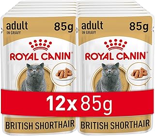 Royal Canin 9003579001240 British Shorthair Cat Food, 85 g product image