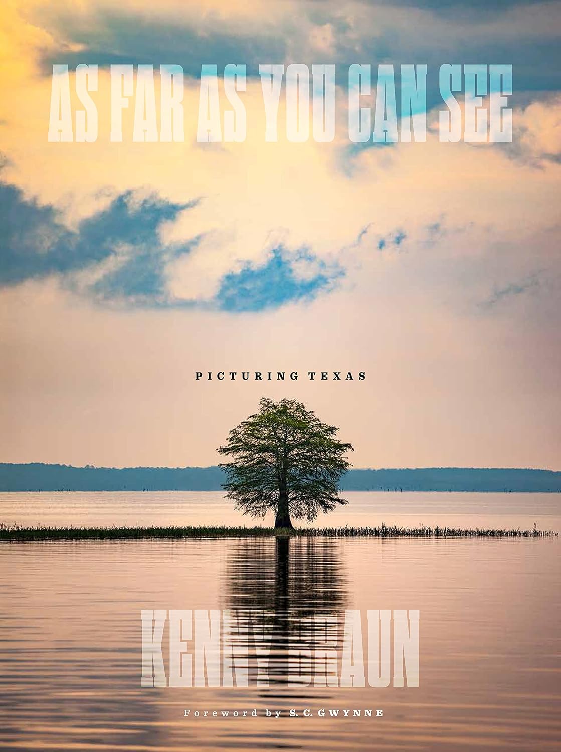 As Far as You Can See: Picturing Texas
